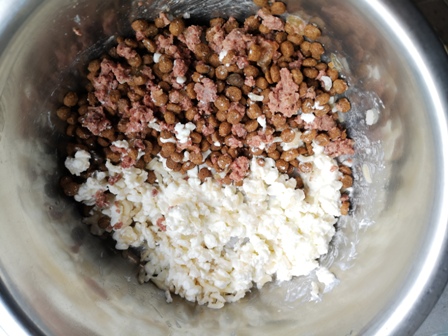 Welpenfutter, Reis und körniger Frischkäse
